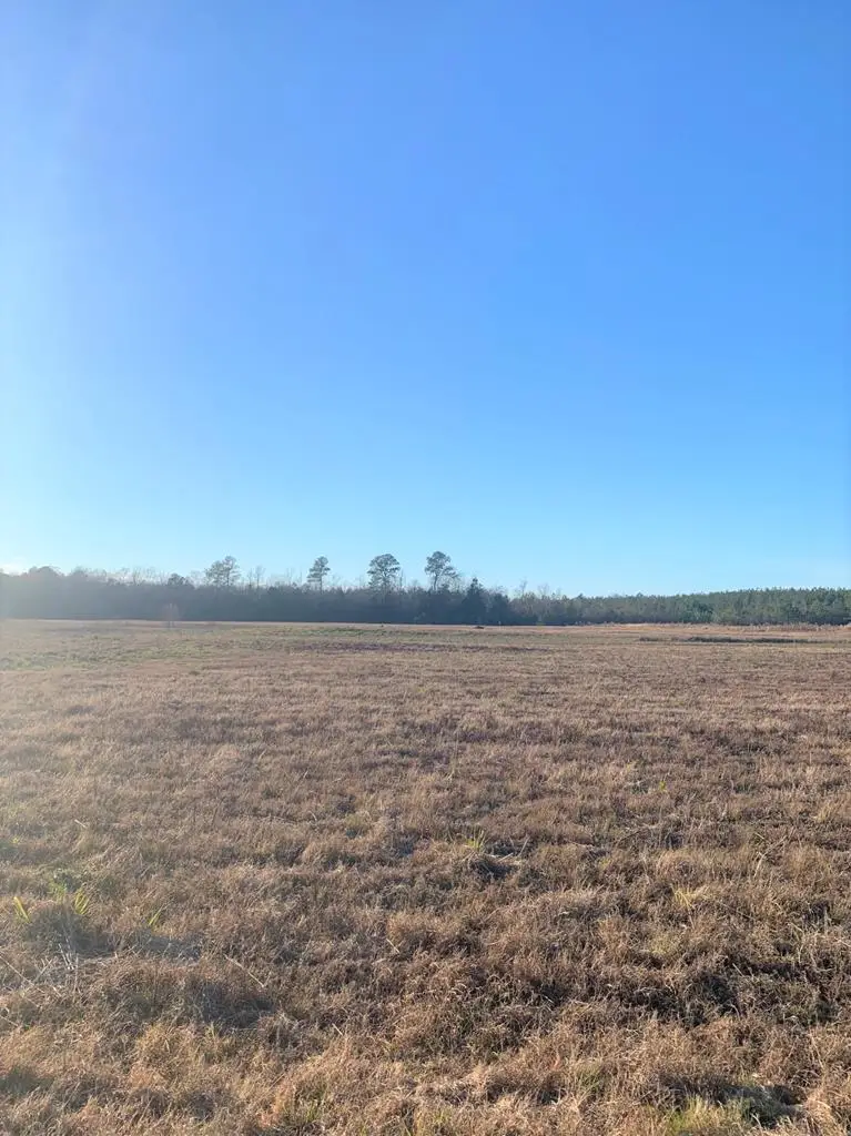 00 Hwy 11, Ellisville, MS 39437 - #1