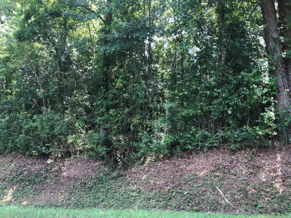0 State St. Lot 44, Laurel, MS 39440 - #1