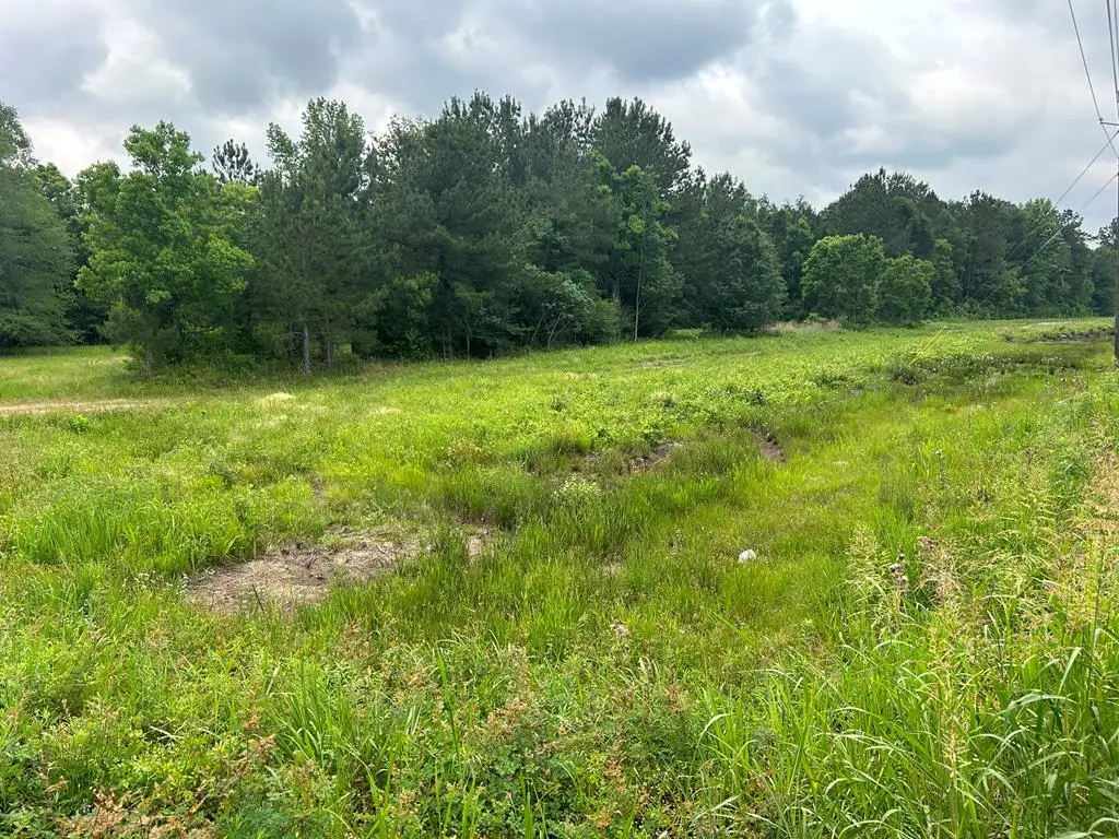 00 Hwy 11, Ellisville, MS 39437 - #1