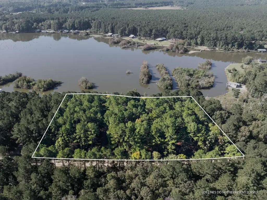 00 U 53 L 1, Pachuta, MS 39347 - #1