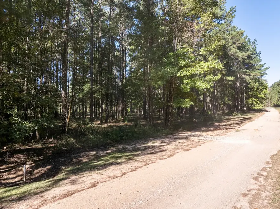 00 U 53 L 1, Pachuta, MS 39347 - #3