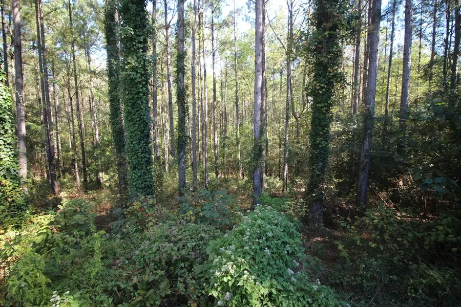475 Cr 1612, Louin, MS 39338 - #2