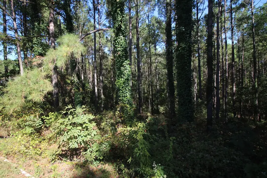 475 Cr 1612, Louin, MS 39338 - #3