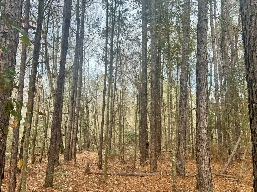 - Hwy 15 N, Louin, MS 39338 - #2