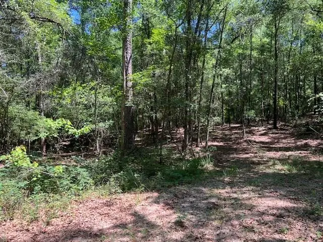 TBD Jo-beth St., Waynesboro, MS 39367 - #1