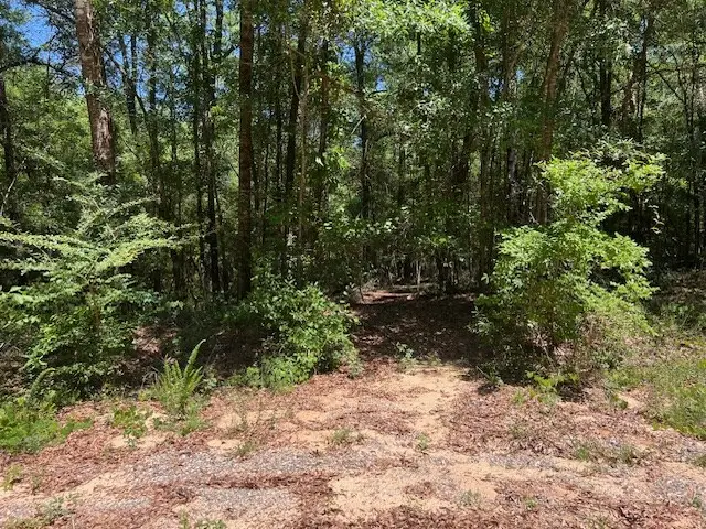 TBD Jo-beth St., Waynesboro, MS 39367 - #3