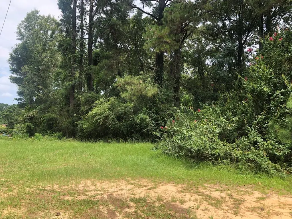 41 Flynt Rd, Laurel, MS 39440 - #1
