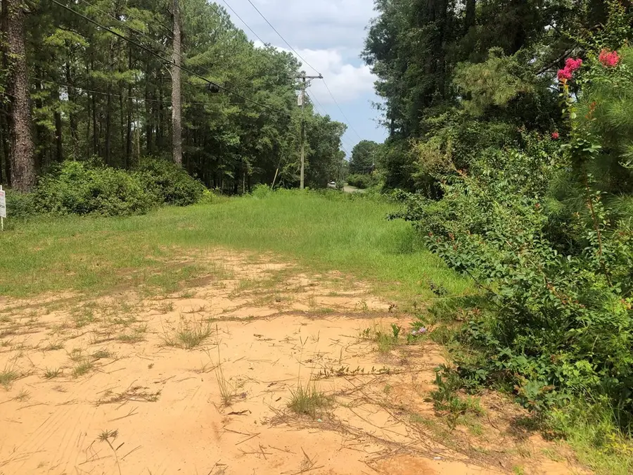 41 Flynt Rd, Laurel, MS 39440 - #2