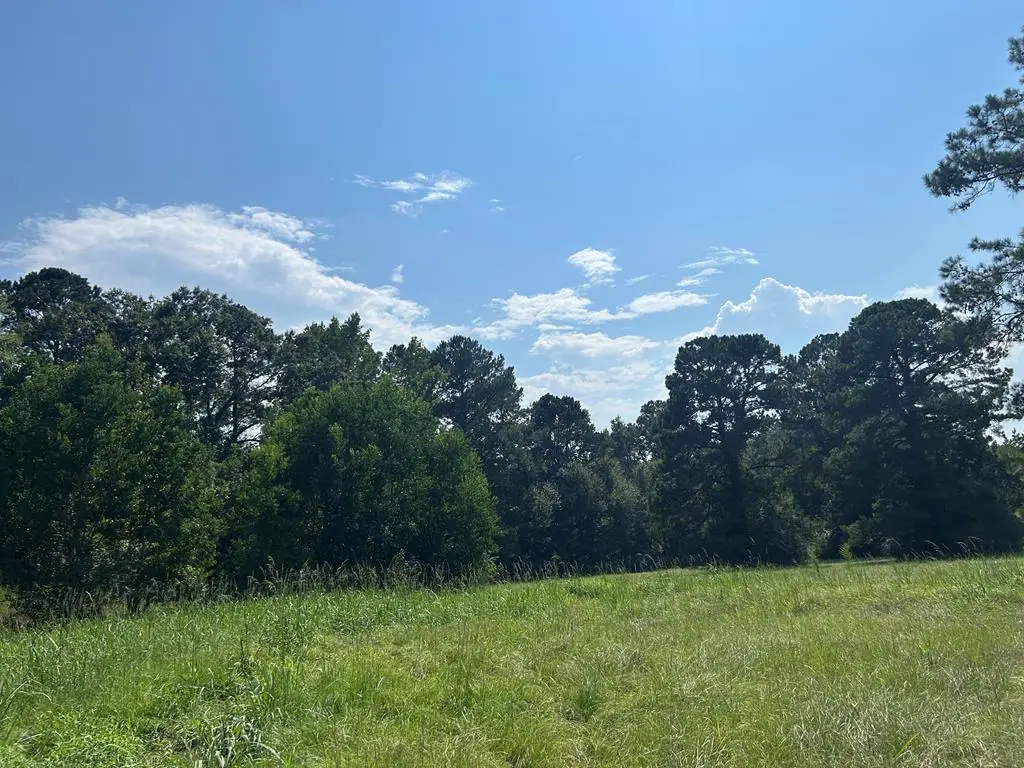 0 Wansley Rd, Laurel, MS 39443 - #1