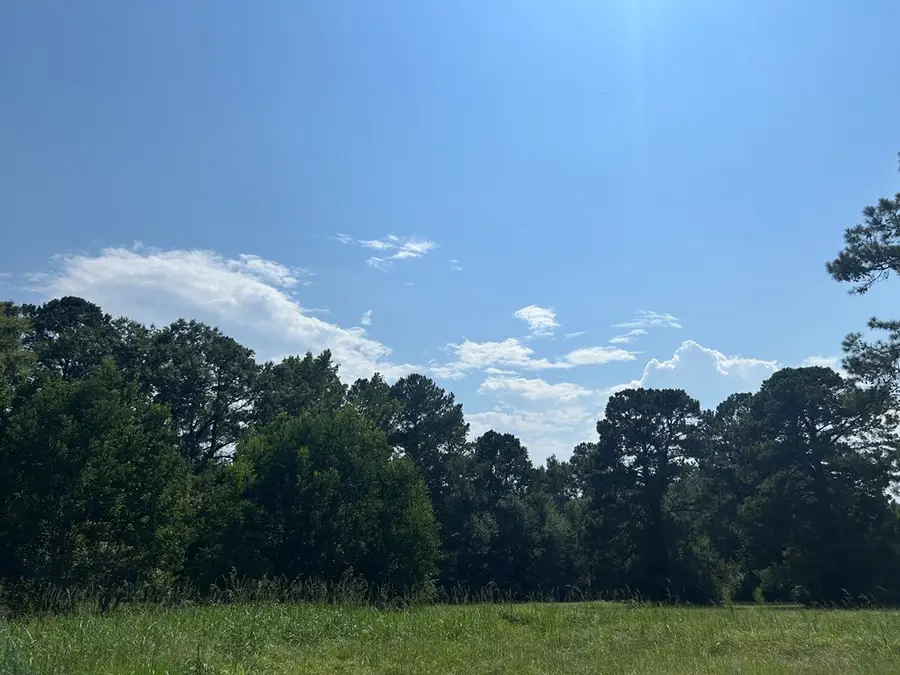 0 Wansley Rd, Laurel, MS 39443 - #2