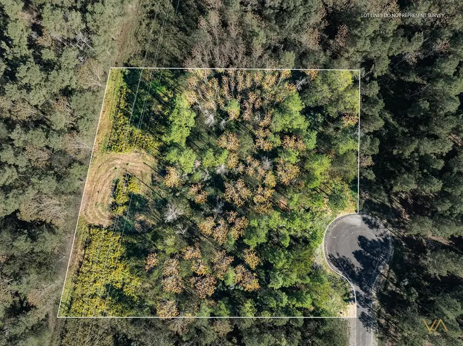 Lot 8 Parker Lane, Ellisville, MS 39473 - #2