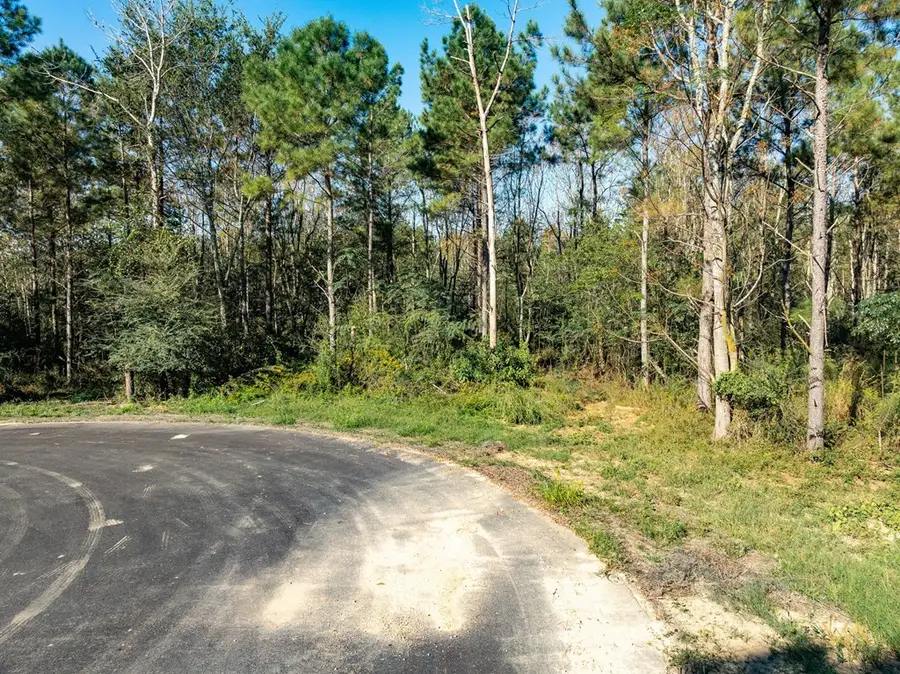Lot 8 Parker Lane, Ellisville, MS 39473 - #3