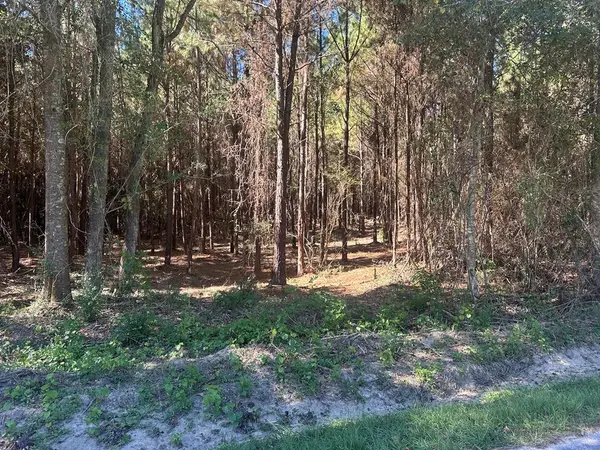 0 Pine Dr., Laurel, MS 39443