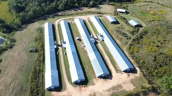 226 Pine Burr Rd, Lumberton, MS 39455
