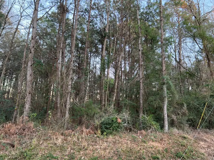 0 Ellisville Blvd, Laurel, MS 39440 - #2