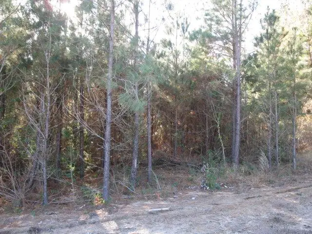 Lot 3 Parkview Estates, Ellisville, MS 39437 - #1