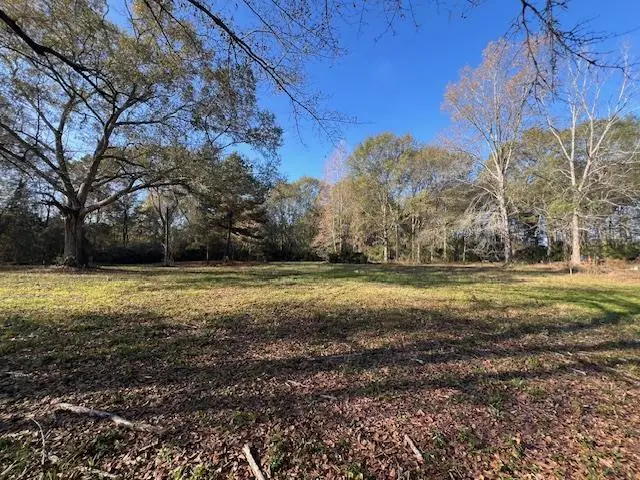 211 Clay St, Ellisville, MS 39437 - #1