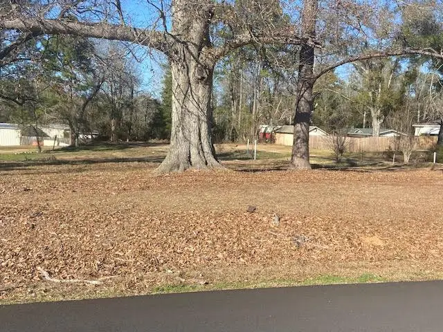 1003 Fairview Dr, Waynesboro, MS 39367 - #1