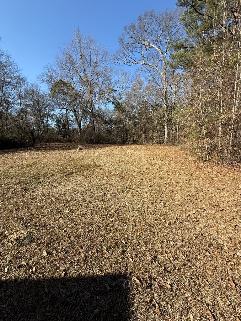 913 Azalea Drive, Waynesboro, MS 39367 - #2