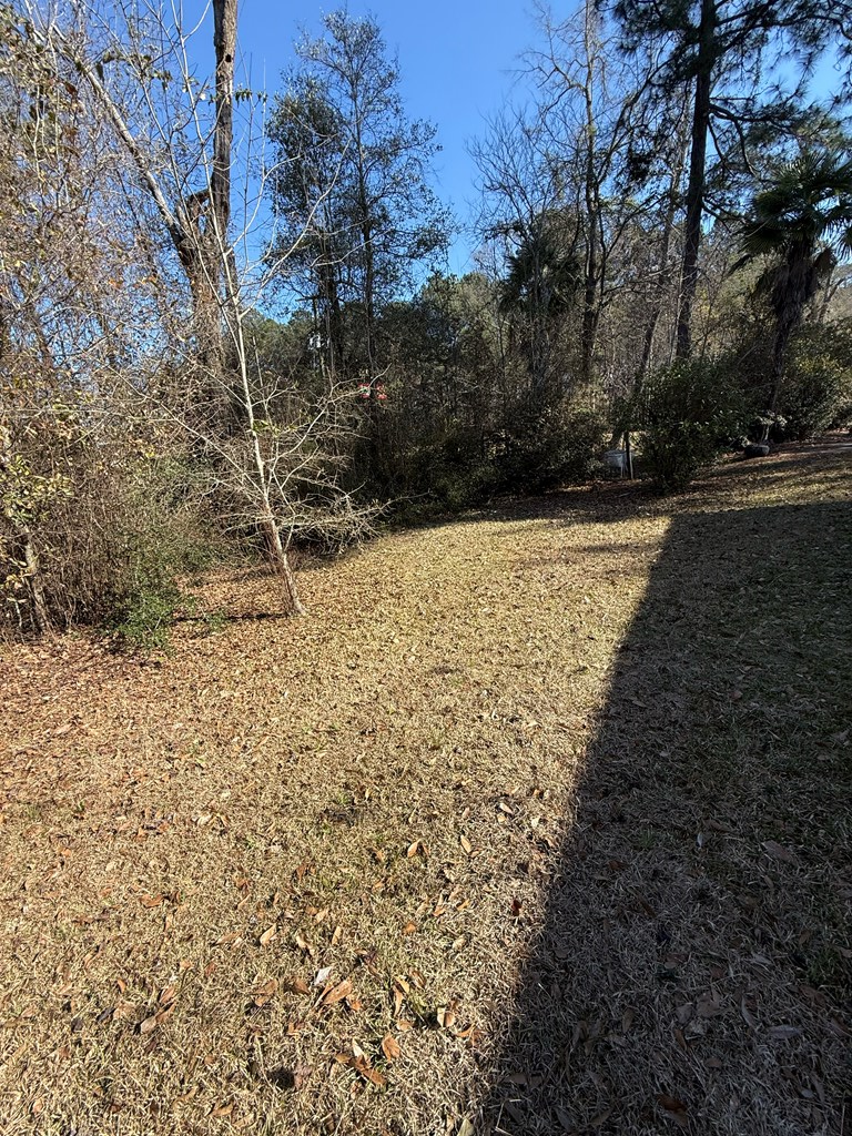 913 Azalea Drive, Waynesboro, MS 39367 - #3