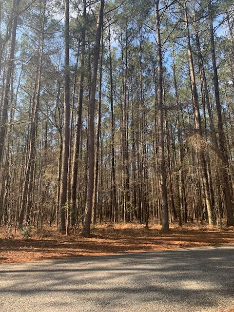 00 Unit 25 Lot 17, Pachuta, MS 39347 - #1