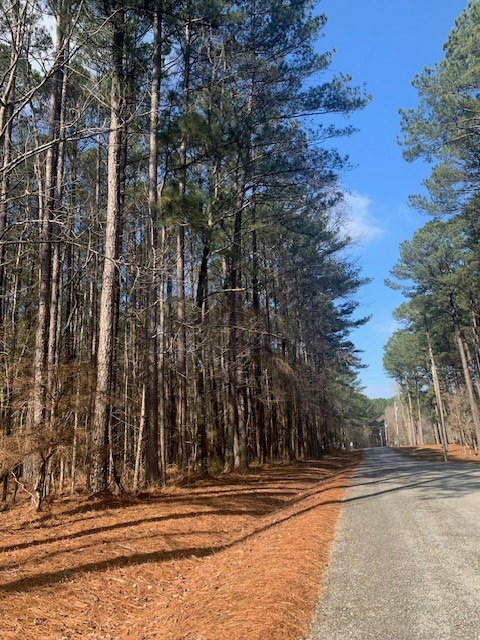 00 Unit 25 Lot 17, Pachuta, MS 39347 - #2