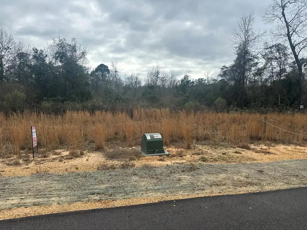 Lot 11 Bella Drive, Ellisville, MS 39439 - #1