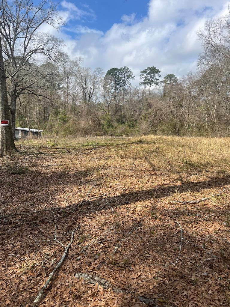 TBA University Avenue, Laurel, MS 39440 - #1