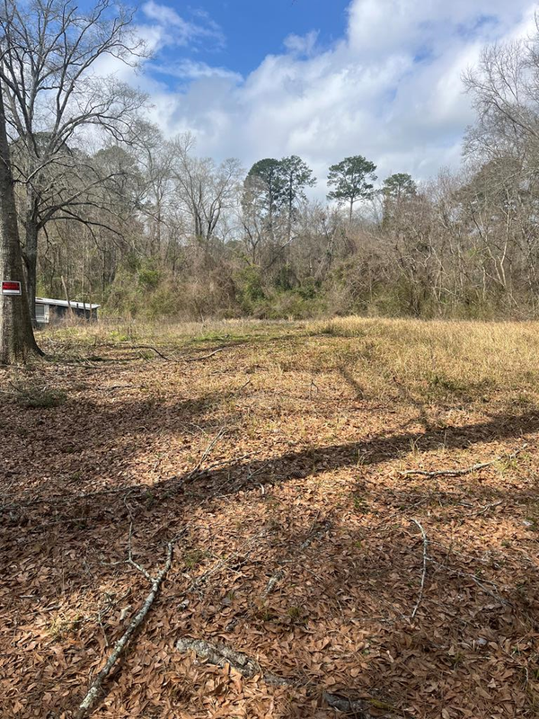 TBA University Avenue, Laurel, MS 39440