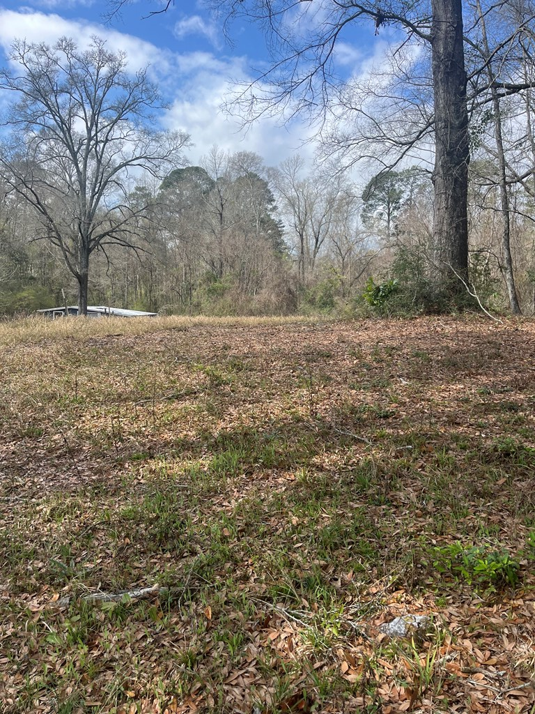 TBA University Avenue, Laurel, MS 39440 - #2