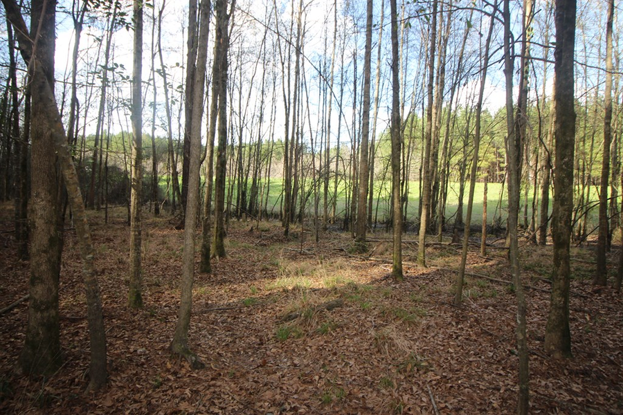 8284 Hwy 28, Mize, MS 39111 - #3
