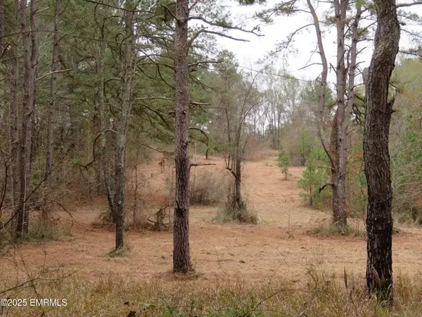 301 County Road 31, Heidelberg, MS 39439
