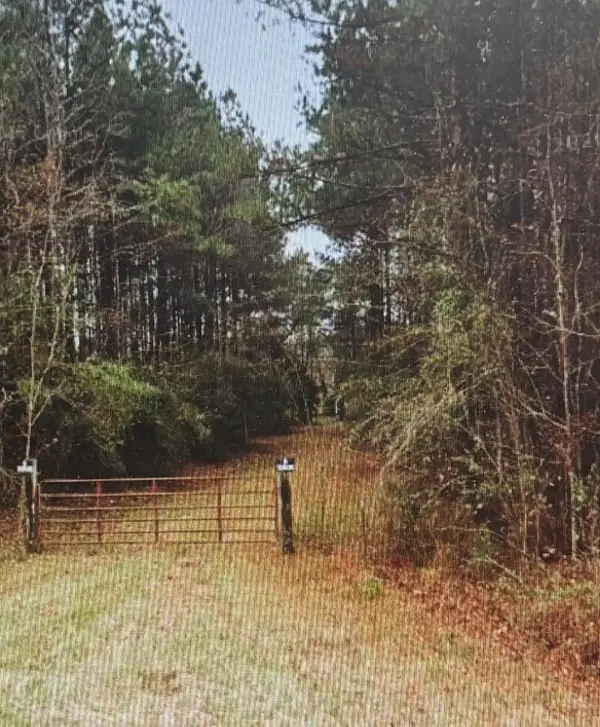00 Hwy 1545, Louin, MS 39756