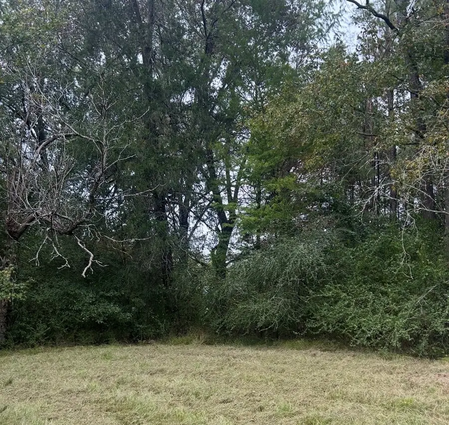 00 Hwy 1545, Louin, MS 39756 - #2
