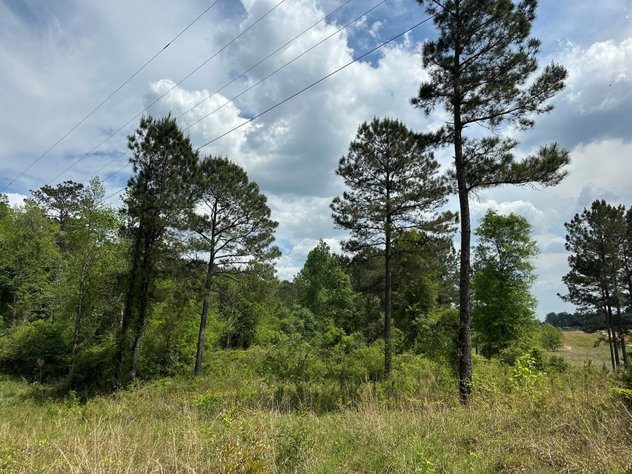 Tbd Rastus Ryals Rd, Seminary, MS 39479 - #2