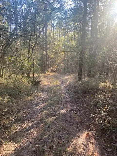 111-TBA Cr1820, Rose Hill, MS 39365