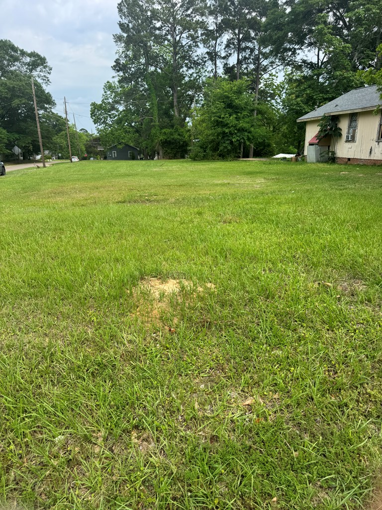 827 N.15th Ave, Laurel, MS 39440 - #2