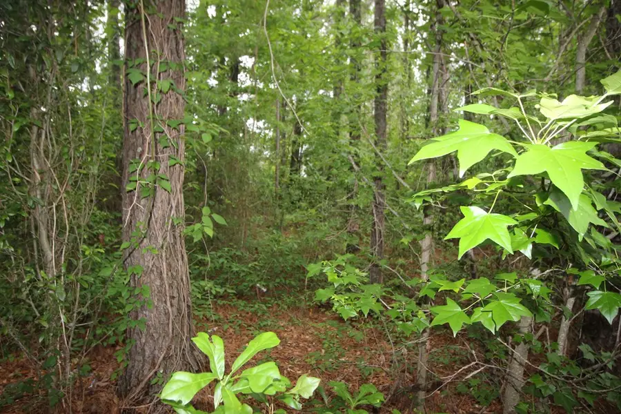 1365 Hwy 15 North, Laurel, MS 39440 - #2