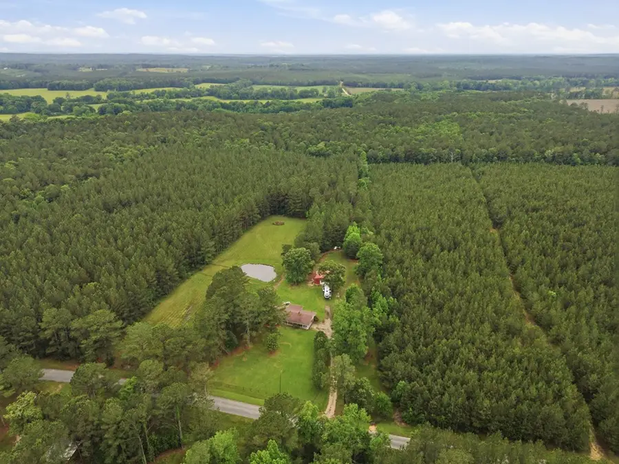 1349 Cr 29, Louin, MS 39338 - #2
