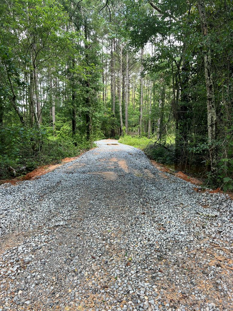 1159 Centerville Road, Soso, MS 39480 - #1