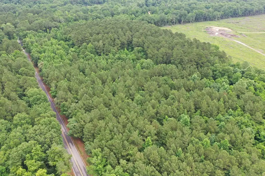 0 Hwy 529, Taylorsville, MS 39168 - #3