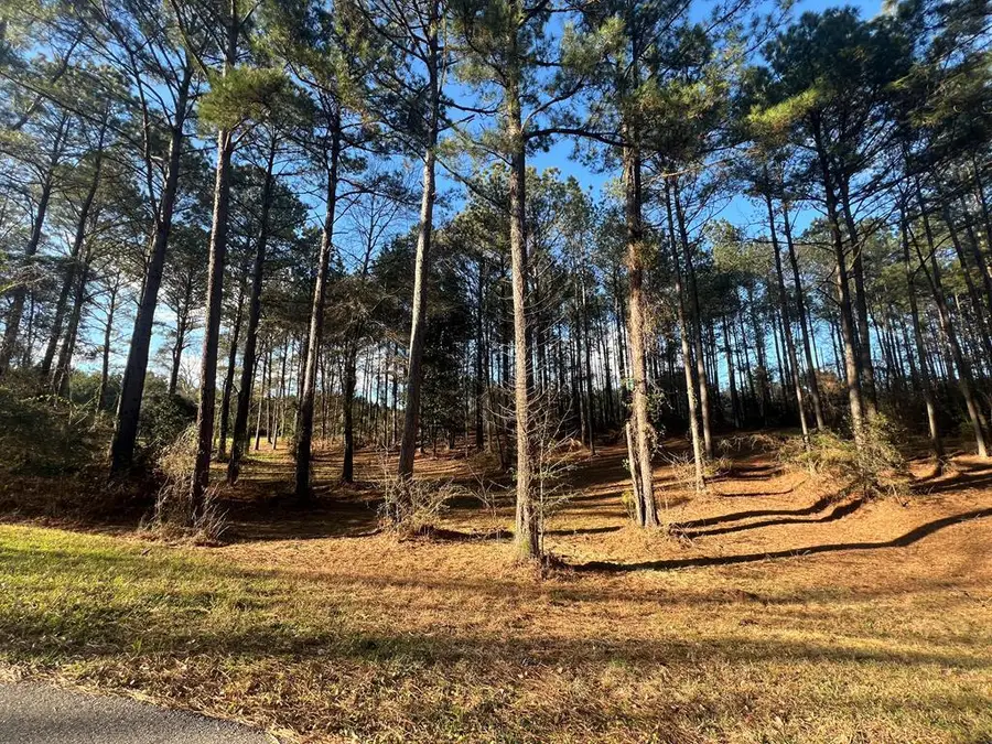 00 Timber Ridge Dr., Laurel, MS 39443 - #2