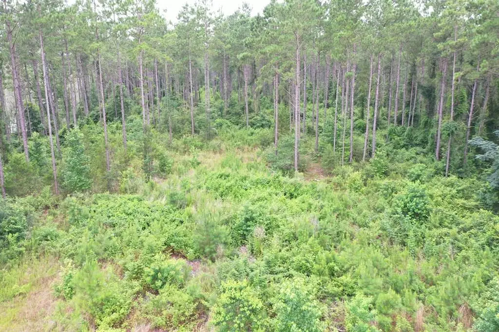 63 Dogwood Hills Drive, Laurel, MS 39443 - #1