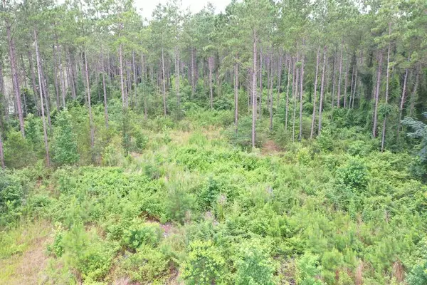 63 Dogwood Hills Drive, Laurel, MS 39443