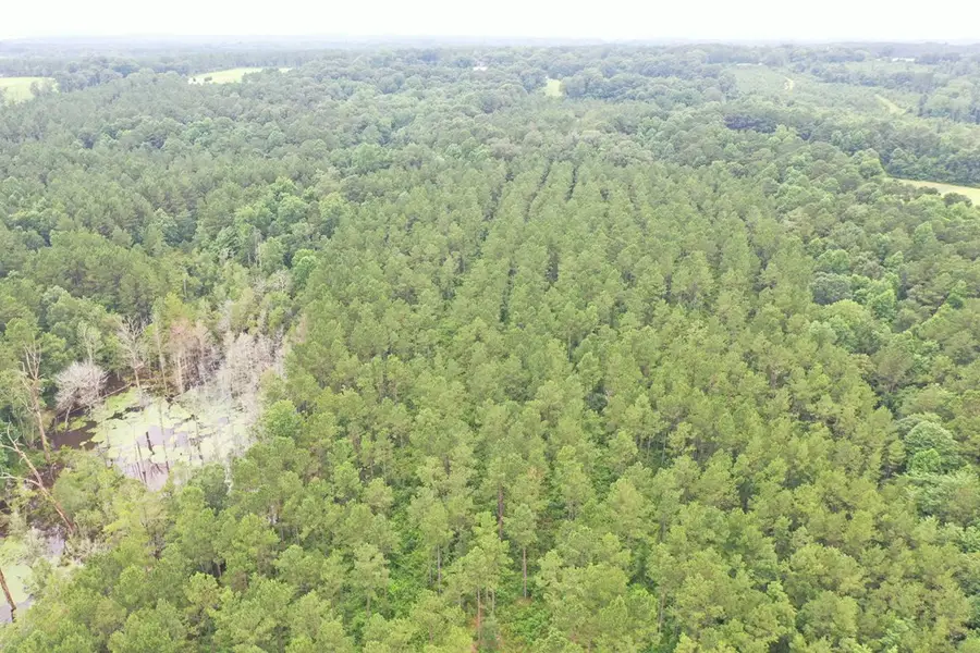 63 Dogwood Hills Drive, Laurel, MS 39443 - #2