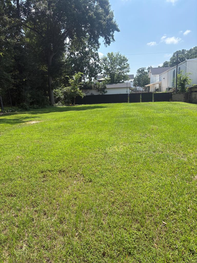 523 N. 6th Avenue, Laurel, MI 49440 - #1