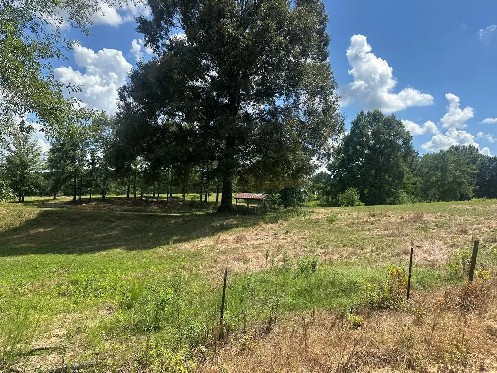 0 Guthrie Carter Road, Moselle, MS 39459 - #1