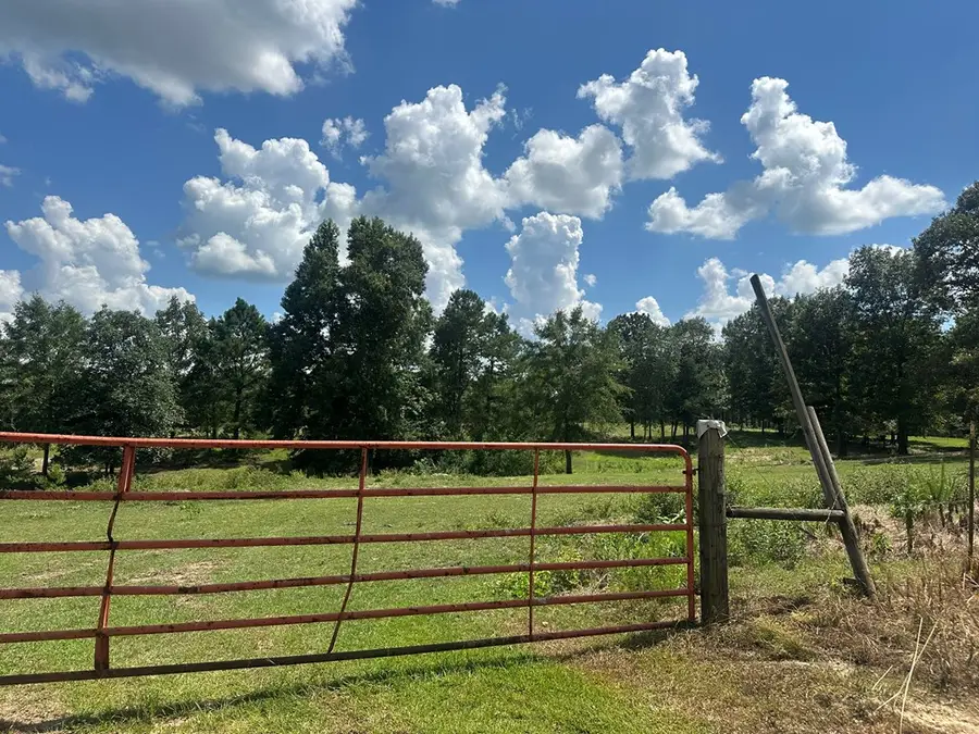 0 Guthrie Carter Road, Moselle, MS 39459 - #2