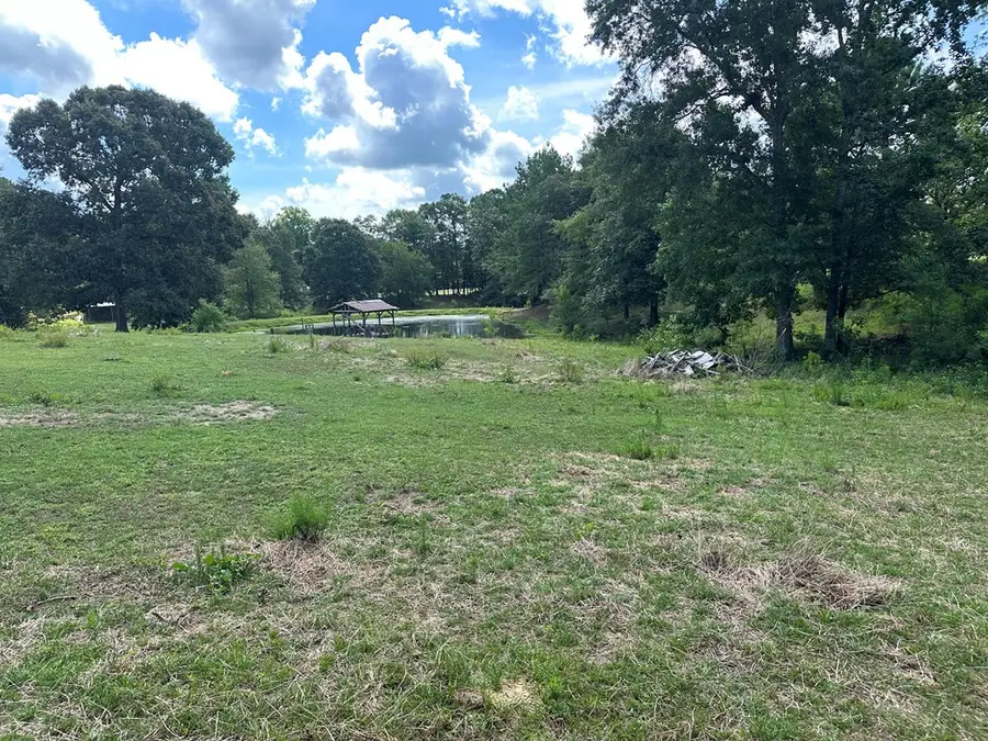 0 Guthrie Carter Road, Moselle, MS 39459 - #3