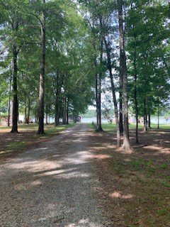 854 Lake Eddins 1638, Pachuta, MS 39347 - #3